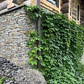 Кварцит серо-зеленый Грубый камень — 3Д-панели для цоколя