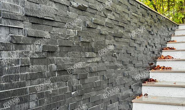 Проект "Сланец черный"