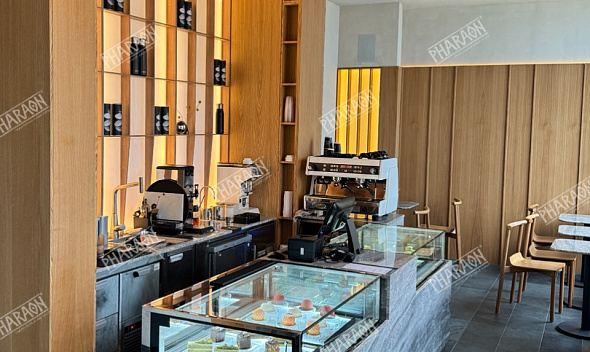 Проект ресторана "No mad people"