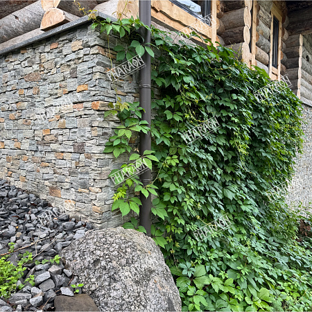 3d панели из натурального камня. Кварцит серо-зеленый (Грубый камень)