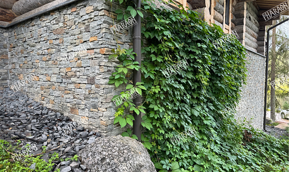 Проект "Кварцит серо-зеленый" 