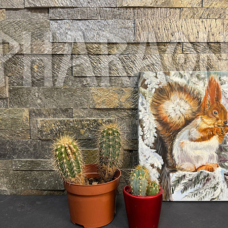 3d панели из натурального камня. Сланец Деоли Грин (Модерн)